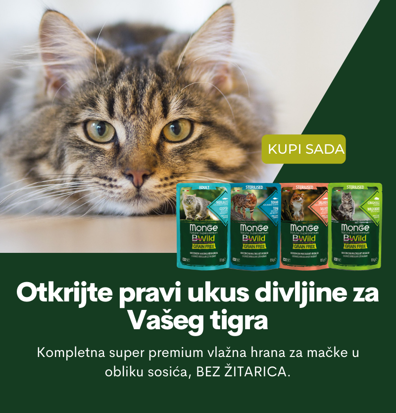 Monge BWild Adult Grain Free sosić za mačke