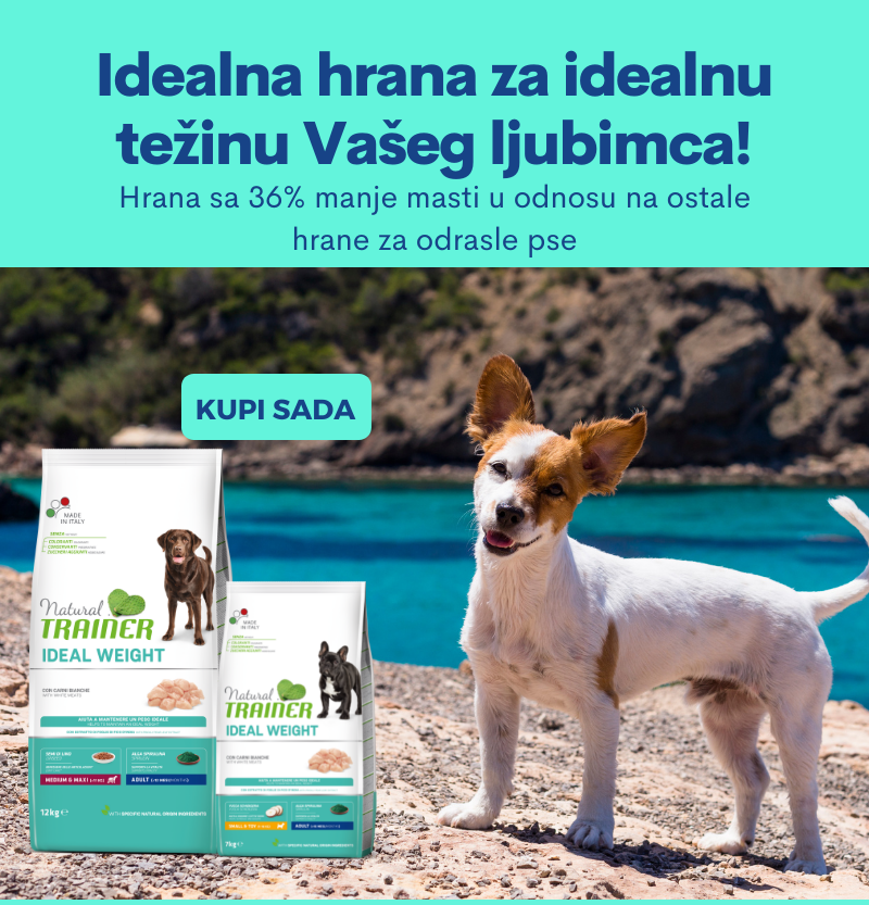 TRAINER Natural Ideal Weight