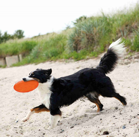 TRIXIE Igračka za pse  frizbi od TPR gume 18cm plutajući