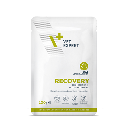 VetExpert Recovery Chicken sosić za mačke 100g – podrška oporavku i jačanju 💪🐾