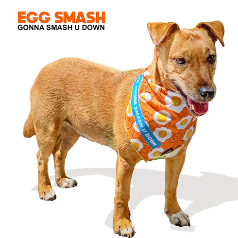 13th Dog Marama za psa Egg Smash Bandana S