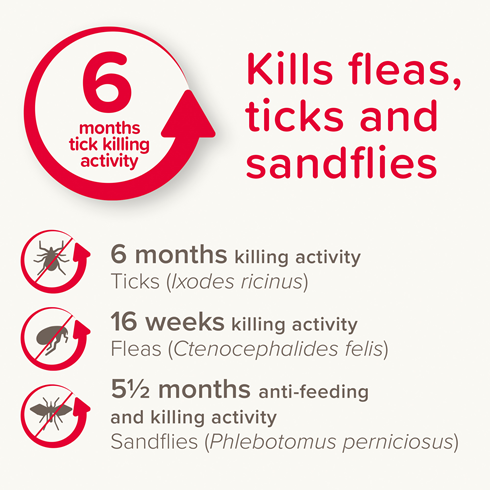 Beaphar Canishield® Antiparazitska ogrlica za pse S/M – zaštita od buva, krpelja i papatača 🐶🛡️