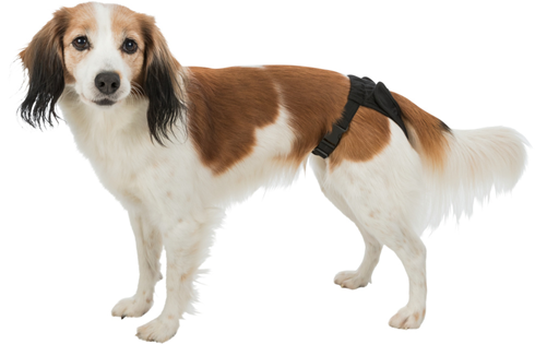 Trixie Zaštitne gaćice za ženske pse L  (43-55cm)