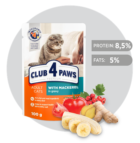 Club 4 Paws Adult sosić za mace skuša u sosu 100g