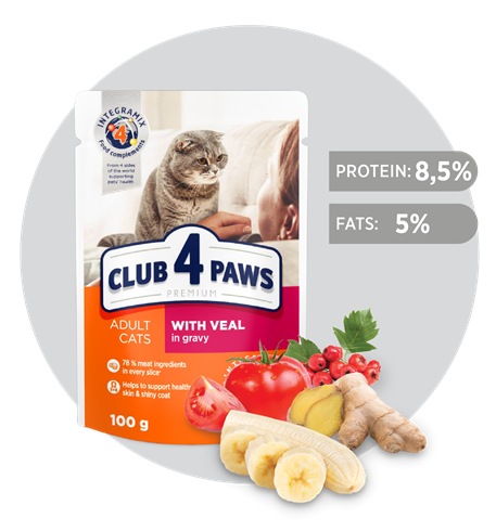 Club 4 Paws Adult sosić za mace teletina u sosu 100g