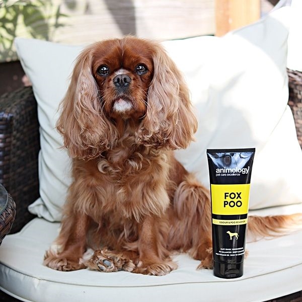 Animology Fox Poo 250 ml