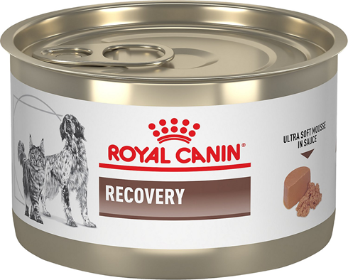 Royal Canin Recovery Dog&Cat 195g