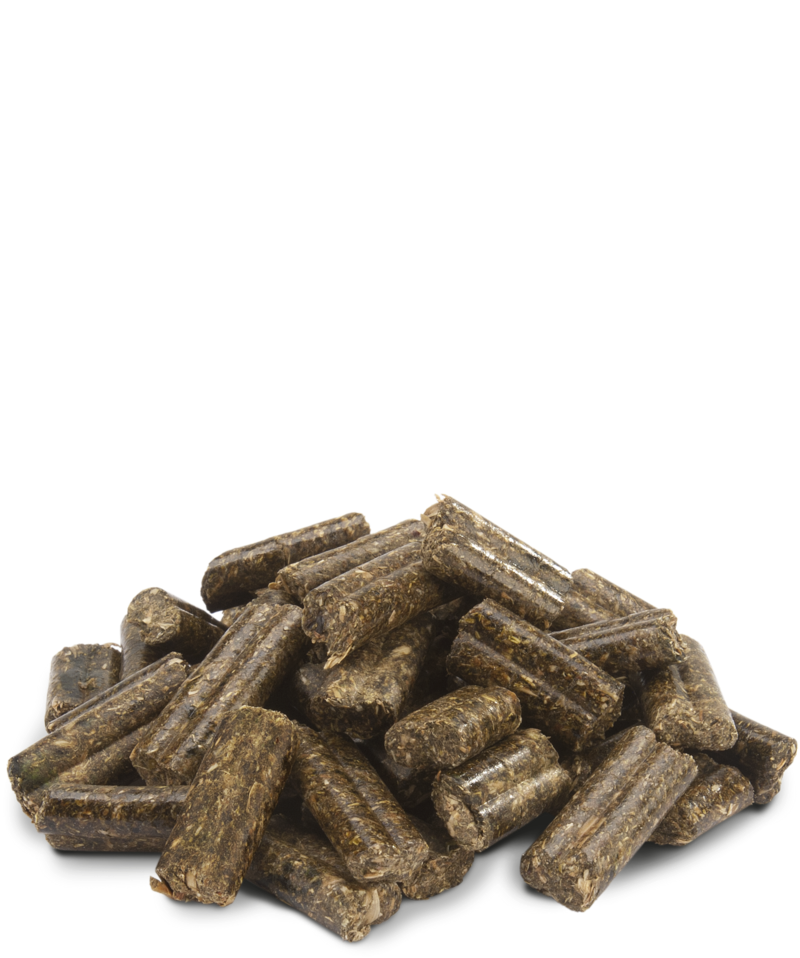 Versele Laga Rabbits crispy pellets 2kg | VetAnima
