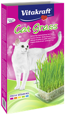 Vitakraft Cat Grass trava za mačke u kutiji 120g