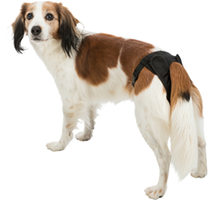 Trixie Zaštitne gaćice za ženske pse XL (56-68cm)