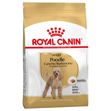 Royal Canin Poodle Adult 500g