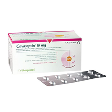 VETOQUINOL Clavaseptin 50 mg (amoksicilin, klavulanska kiselina) 1 tableta