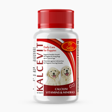 Dr Sekiz Kalcevit 100 tableta