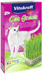 Vitakraft Cat Grass trava za mačke u kutiji 120g