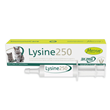 MARVUE Lysine 250 pasta za mačke i mačiće 30ml – podrška imunitetu i disajnim putevima 🐱💛
