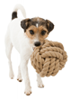 TRIXIE BE NORDIC  Igračka za pse u obliku lopte od kanapa 13cm