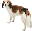 Trixie Zaštitne gaćice za ženske pse M (32-42cm)